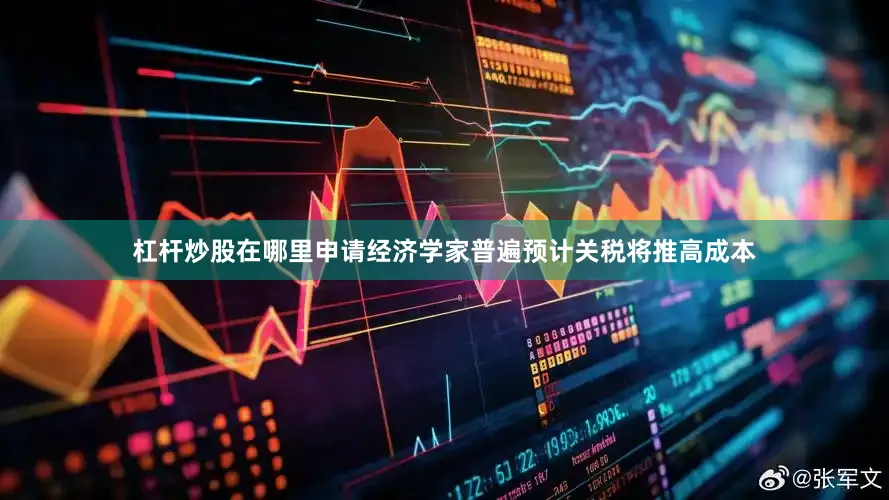 杠杆炒股在哪里申请经济学家普遍预计关税将推高成本