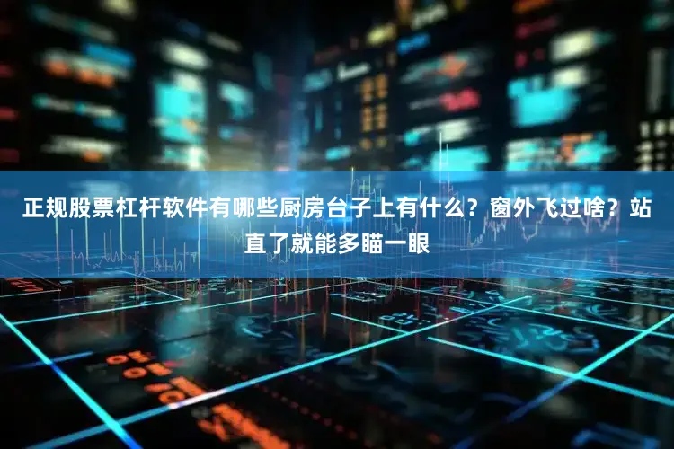 正规股票杠杆软件有哪些厨房台子上有什么？窗外飞过啥？站直了就能多瞄一眼