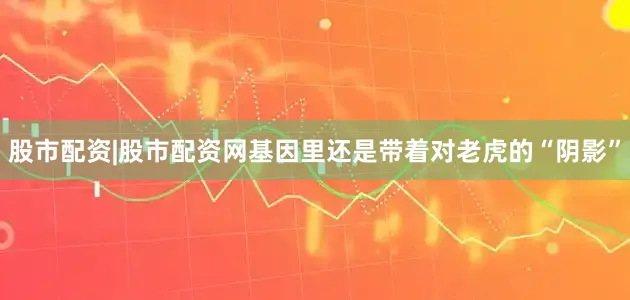 股市配资|股市配资网基因里还是带着对老虎的“阴影”